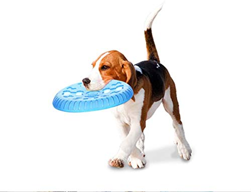 Wangshihao Dog Frisbee Soft Frisbee Side Animal Toys Biting Molar Training Suministros para Mascotas