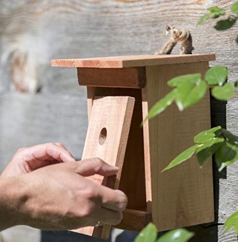 Windhager Caja pájaros Birdy, Incubadora, Ayuda para el Nido de Aves, 06925, Nature