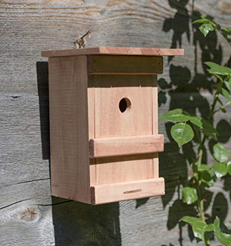 Windhager Caja pájaros Birdy, Incubadora, Ayuda para el Nido de Aves, 06925, Nature