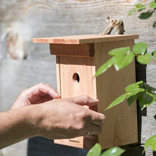 Windhager Caja pájaros Birdy, Incubadora, Ayuda para el Nido de Aves, 06925, Nature