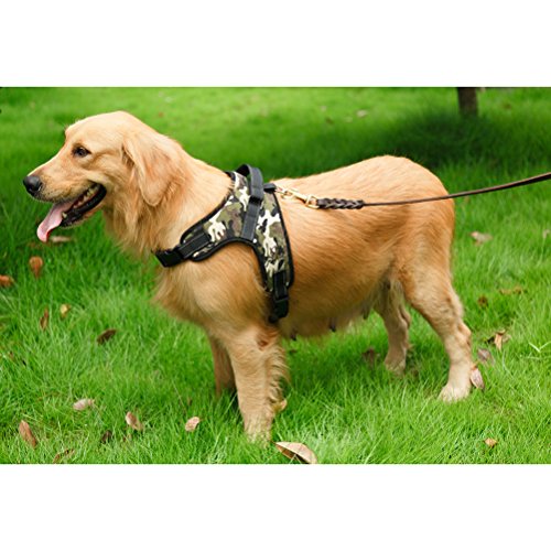 Winomo - Arnés de tejido Oxford para perros de talla grande, de talla XL, con estampado de camuflaje