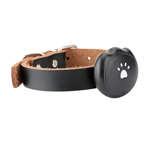 WLcute Rastreador de Mascotas por GPS, Tiempo de Espera Largo Impermeable, Portátil, Mascota, Anti-perdida GPS, Dispositivo de rastreo, Dispositivo de rastreo, Alarma de Seguridad, Alarma,Negro