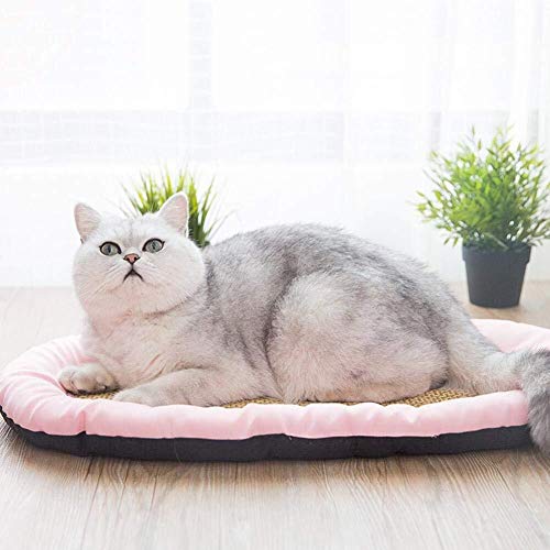 Wmchiwan Mascotapara Gato Perro Pet Dog Cat Cooling Mat Cool Bed Cooler Pad Summer Cushion Hair Pet Supplies Mascotapara Gato Perro (Size : Style 02)