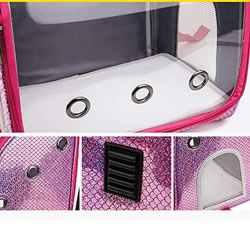 WXQKD Bolsa para Mascotas, Mochila para Perros Y Gatos Al Aire Libre, Transportador Plegable, con Barra De Tiro Extraíble, Porosa, Transpirable, Transparente Y Cómoda,C,2