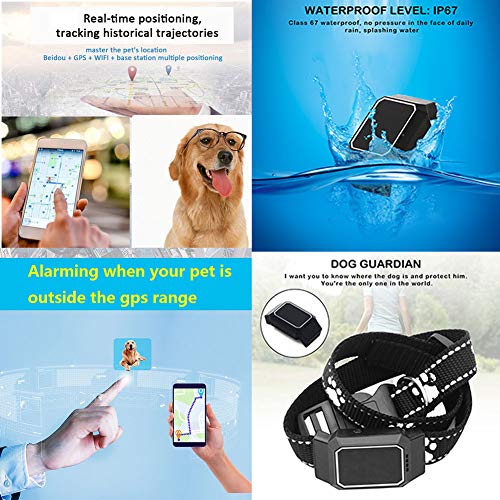 XDYFF Rastreador Tractive GPS para Perros y Gatos Track Tor Localizador con Ondas de Radio Anti-Pérdida Gato, Perro,White