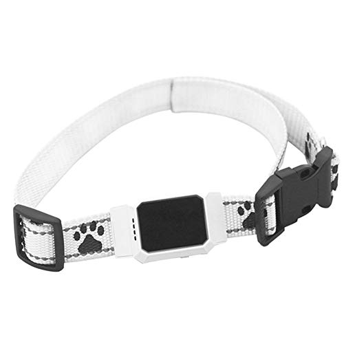 XDYFF Rastreador Tractive GPS para Perros y Gatos Track Tor Localizador con Ondas de Radio Anti-Pérdida Gato, Perro,White