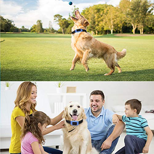 XDYFF Rastreador Tractive GPS para Perros y Gatos Track Tor Localizador con Ondas de Radio Anti-Pérdida Gato, Perro,White