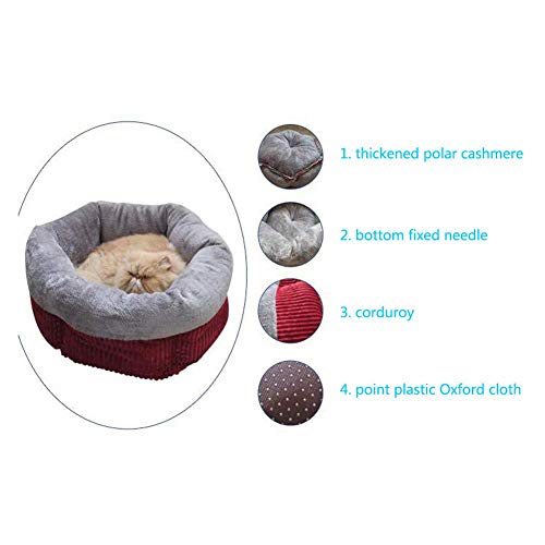 XHPWW Gato y Perro Cama Cojín Cama Kennel Pet Nest, Invierno cálido Teddy Kennel Cat Saco de Dormir Kitten House Beige-M