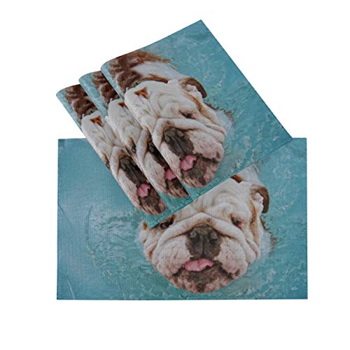 XHYYY Manteles Individuales Juego de 4 para Mesa de Comedor Lavable para Perros Diviértete Piscina pública Local Mantel Individual Alfombrillas de Cocina Antideslizantes