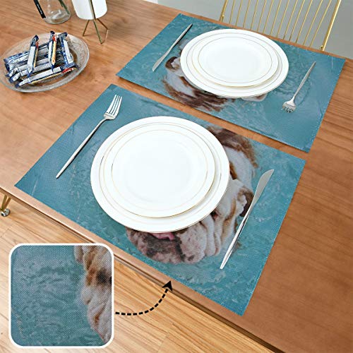 XHYYY Manteles Individuales Juego de 4 para Mesa de Comedor Lavable para Perros Diviértete Piscina pública Local Mantel Individual Alfombrillas de Cocina Antideslizantes