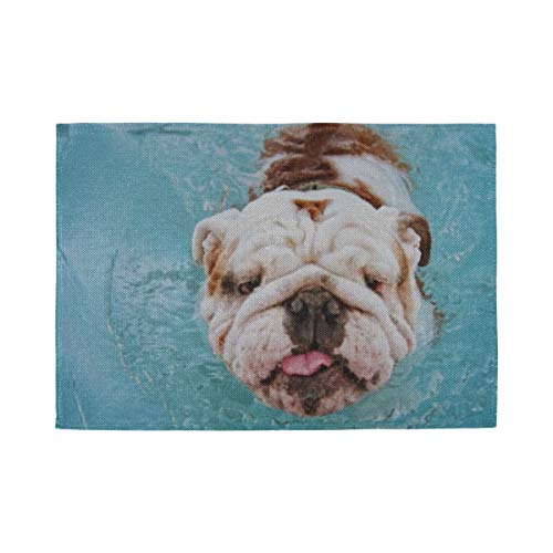 XHYYY Manteles Individuales Juego de 4 para Mesa de Comedor Lavable para Perros Diviértete Piscina pública Local Mantel Individual Alfombrillas de Cocina Antideslizantes