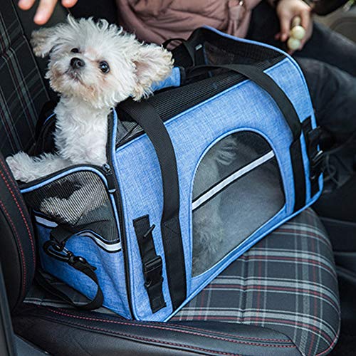 XINCHAOZ Transportin Perro Gato, Portátil Transpirable Viaje Portador Bolsa con Tapete Capazo Portador Tela Mascotas, para Viaje Coche y Viaje Avion