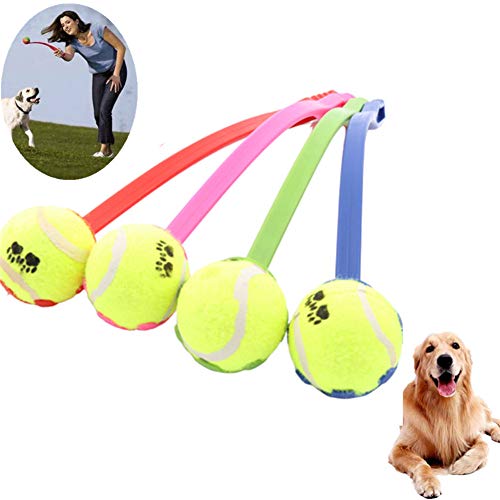 Xinllm Pelotas Perros Juguetes Perro Perro Bolas Duro Pelota de Tenis Juguete de Entrenamiento y Juego de Perros Equipo de Agility para Perros Perro Bolas