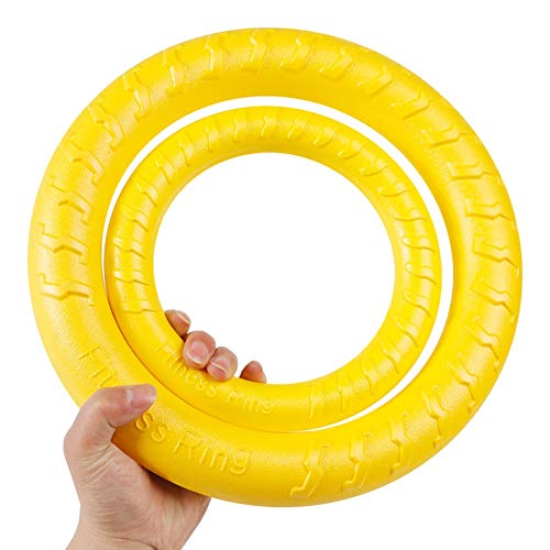 XPT-Pet Toy Perro Frisbee Toys, Flotante Volador Perro Desct Juguetes, Mascota Formación Al Aire Libre Durable Masticar Juguetes for Perros Pequeños Y Medianos (Color : 2)