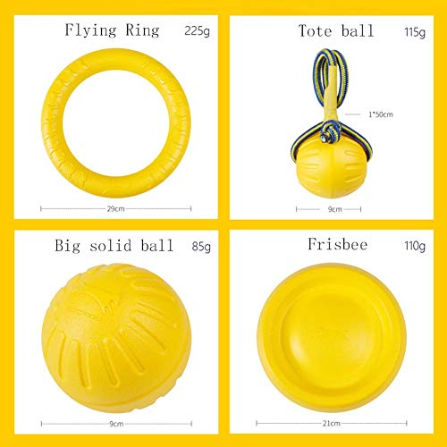 XPT-Pet Toy Perro Frisbee Toys, Flotante Volador Perro Desct Juguetes, Mascota Formación Al Aire Libre Durable Masticar Juguetes for Perros Pequeños Y Medianos (Color : 2)