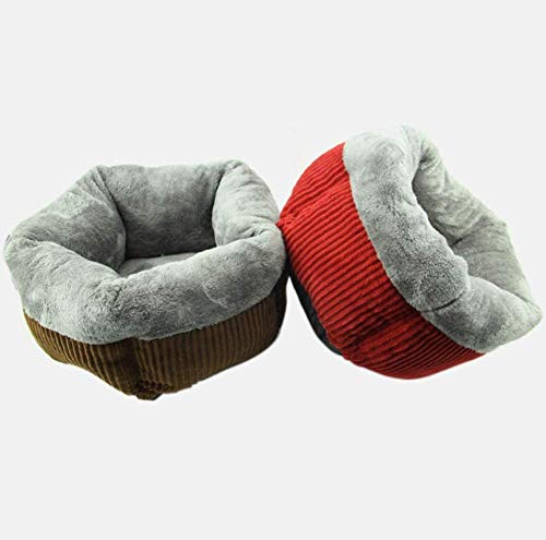 XUIO Camas para Gatos Mascota Agujero Perro casa Cama Gato Gatito Tienda cojín Suave Lavable Cachorro sofá para Dormir, cojín Acolchado y Ranura Inferior Antideslizante marrón ortopédico S