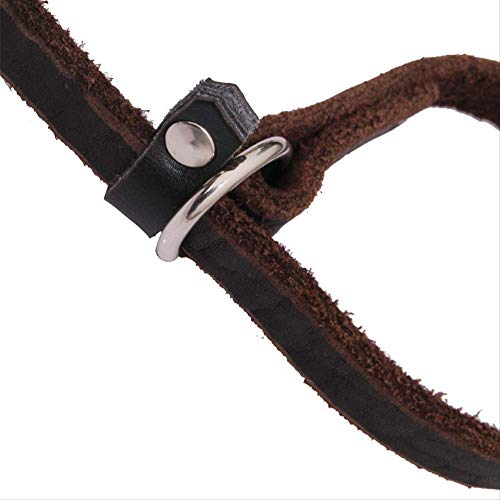 XYBB Correa Perro Cadena Correa para Perros Collar de Deslizamiento Mascota Plomo Cuero Real Cuerda de tracción para Perros Grandes para Perros pequeños medianos Grandes 1.2cmX170cm Marrón