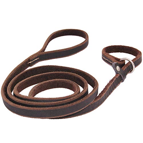 XYBB Correa Perro Cadena Correa para Perros Collar de Deslizamiento Mascota Plomo Cuero Real Cuerda de tracción para Perros Grandes para Perros pequeños medianos Grandes 1.2cmX170cm Marrón