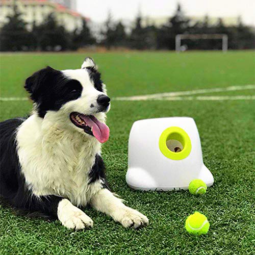 YANG OG Pet Lanzamiento Máquina automática Pit Ching Mascotas Juguete Interactivo Mascotas Ofrece (con pequeñas Tenis) Mascotas selbsthilfe Entretenimiento