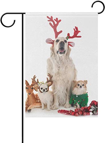 YATELI Jardín Jardín Banderas 28x40 Pulgadas Inviernos Doble Cara Pequeña Navidad Bienvenida Hogar Decorativo Adulto Golden Retriever Chihuahuas