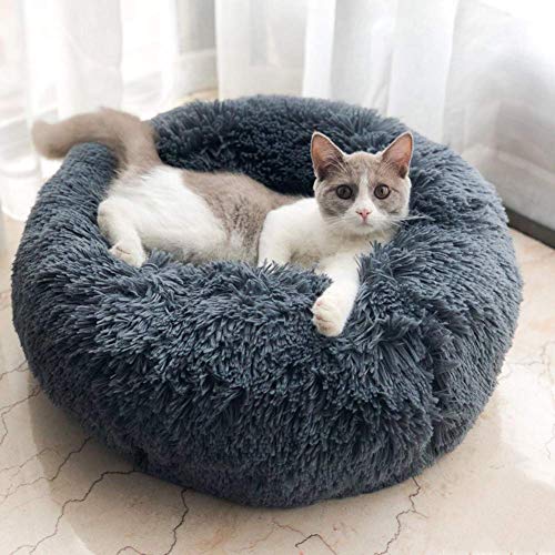 YOHAPPY Cama para Mascotas para Gatos y Perros, Cama para Perros Redonda súper Suave Cama Ovalada con Forma de Dona Cueva para Gatos y Perros pequeños y medianos (50 cm de diámetro) (Gris Oscuro)