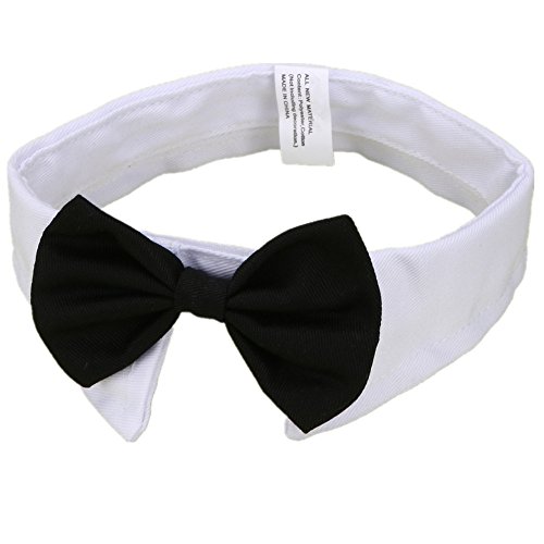 YUMSUM Collar de pajarita para mascota, fila formal para el cuello del perro o gato con cierre ajustable collar blanco