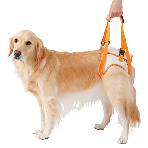 Z-PET Levante El Arnés De Elevación Solo For La Parte Trasera, El Arnés De Elevación For Perros For Las Patas Traseras, El Arnés De Soporte For Caminar, La Elevación (Size : 2XL)