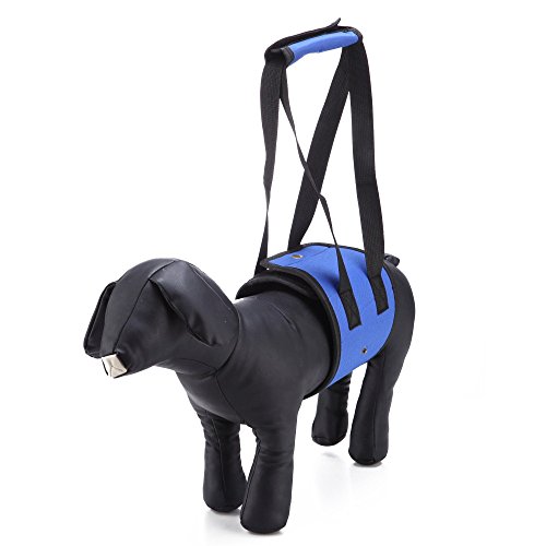 ZAMAC - Cinturón de apoyo para levantamiento de mascotas para patas débiles delanteras o traseras, para caminar, entrar en coches, escaleras Mejor alternativa a silla de ruedas para perro (S-L)