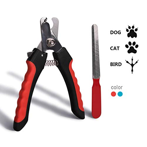 ZCZUOX Cortauñas de Perro Profesional para Razas de Perro pequeño, con protección de Seguridad rápida para Evitar el Corte excesivo, Incluye Lima de uñas (Rojo)