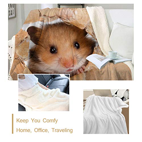 zlxzlx Manta de Lanzamiento de hámster Impresión parecida al Papel Manta Personalizada 3D Ratón marrón Vivo Manta de Sherpa Ropa de Cama de Felpa Lovey Animal 228cmx228cm