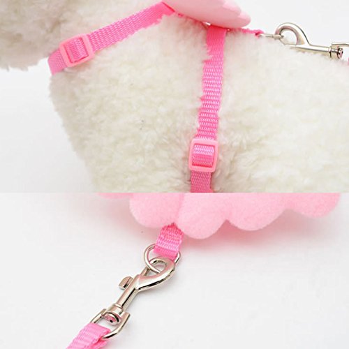 ZREAL Correa para mascota, lindo pequeño perro gato gatos correa collares conjunto cachorro plomo ángel ala diseño ajustable arnés mascotas accesorios