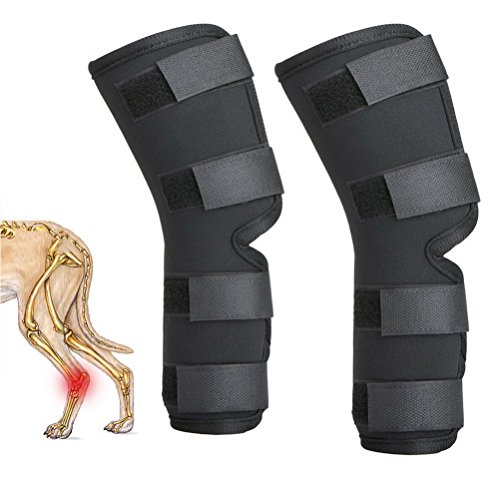 Zunea Dog Canine - Juego de 2 Protectores para la Pierna Trasera y Soporte Extra para la articulación de la Pierna y la Artritis