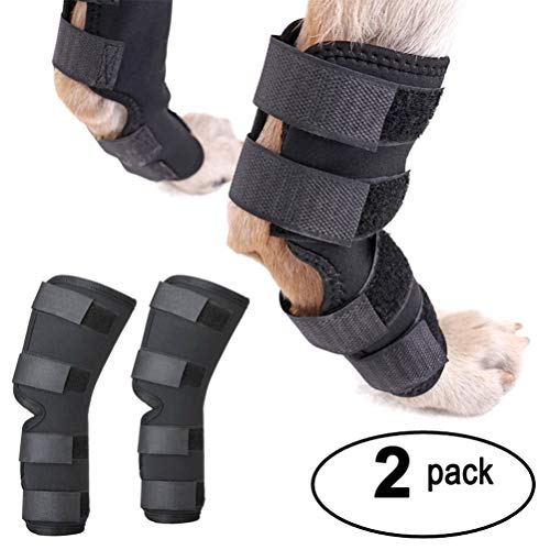 Zunea Dog Canine - Juego de 2 Protectores para la Pierna Trasera y Soporte Extra para la articulación de la Pierna y la Artritis