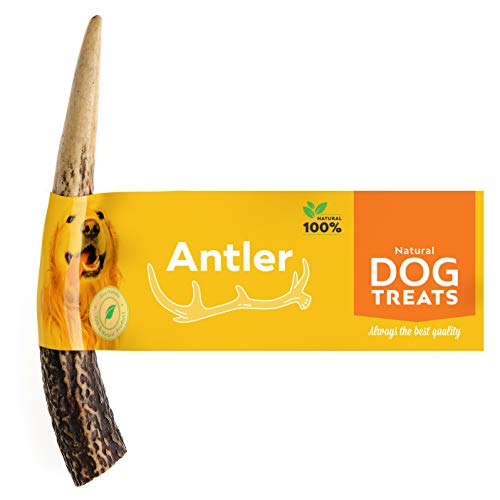 100% Natural Asta de Ciervo para Perro Cuerno Masticar Hueso Juguete, Tamaño Small