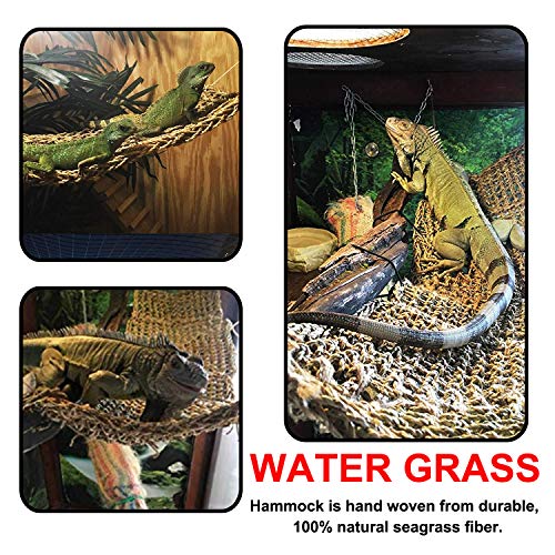 20 piezas Reptiles Lagartija Decoración del hábitat, PietyPet Dragon barbudo Hamaca Hamaca reptil con enredaderas artificiales y Plantas para Camaleón, lagartos, gecko, serpientes, Ranas, Tortuga