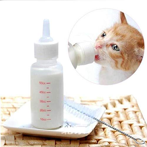 50 ml Botella de Mascotas Recién Nacido Mascota Pequeño Perro Cachorro Gato Gatito Kitty Conejo atención de Enfermería Biberón pezón cepillo de leche Feeder