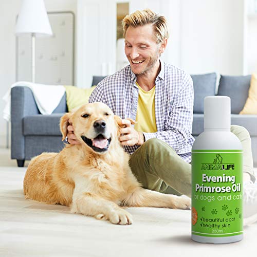 Aceite de Onagra para Perros & Gatos 250ml - 100% Natural - Vitaminas - Minerales - Omega 3 6 9 - Suplementos Alimenticios para Mascotas - Promueve un Pelo y Piel Saludables - Evening Primrose Oil