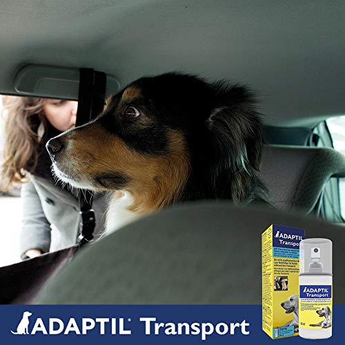 Adaptil Calm Transport Spray, Helps Dog cope with Travelling and Other Short Term Challenges, 60 ml