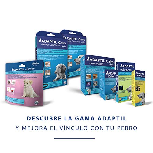 ADAPTIL Express - Tranquiliza a los perros de forma rápida - Tormentas, Fuegos artificales, Petardos, Fiestas, Viajes, Miedos, Visitas al veterinario - Caja de 10 comprimidos