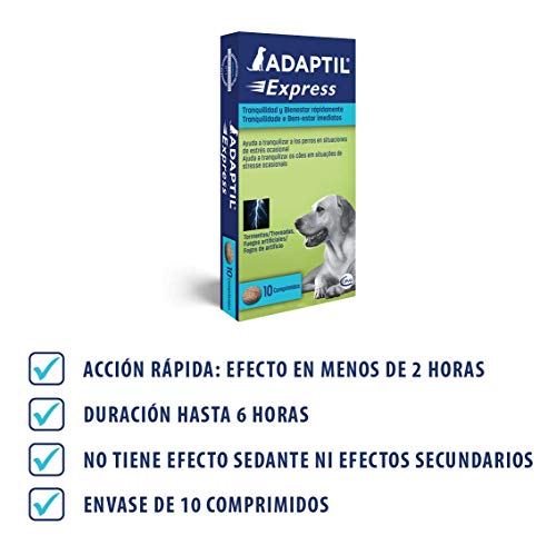 ADAPTIL Express - Tranquiliza a los perros de forma rápida - Tormentas, Fuegos artificales, Petardos, Fiestas, Viajes, Miedos, Visitas al veterinario - Caja de 10 comprimidos