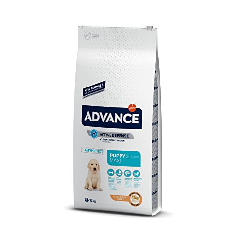 Advance Advance Pienso para Perro Maxi Puppy con Pollo - 12000 gr