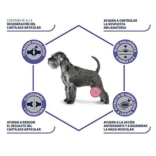 Advance Articular Care Senior Pienso para Perros, Mayores de 7 años, 3 kg