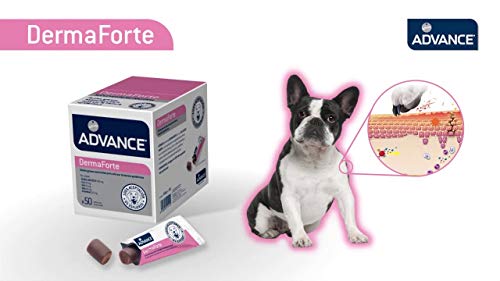 Advance Suplemento Nutricional para Perros Dermaforte - 200 gr