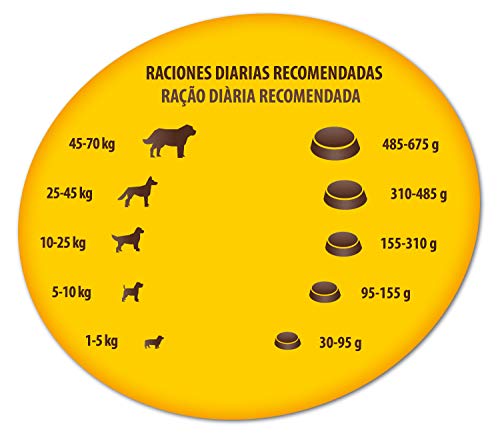 Affinity - Bon Menu - Receta Tradicional - Alimento Completo para Perros Adultos - 4 Kg