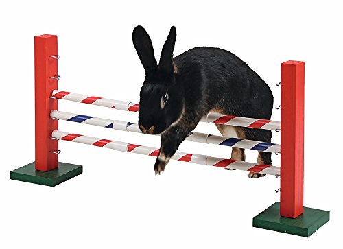 Agility Salto vertical para roedores 70 x 5 x 35 cm