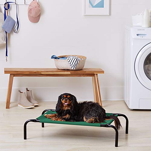 AmazonBasics - Cama para mascotas anticalor elevada, S, Verde