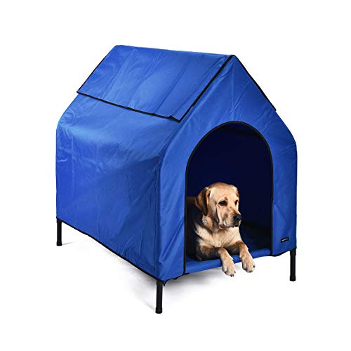 AmazonBasics - Caseta para mascotas, elevada, portátil, mediana, azul