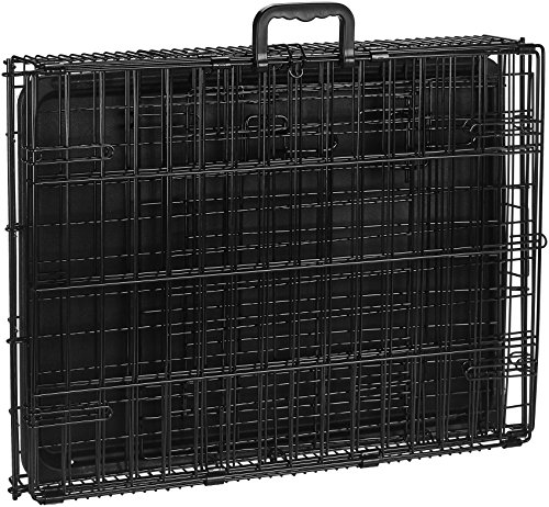 AmazonBasics - Jaula plegable de metal para mascota (una puerta, 61 cm largo)