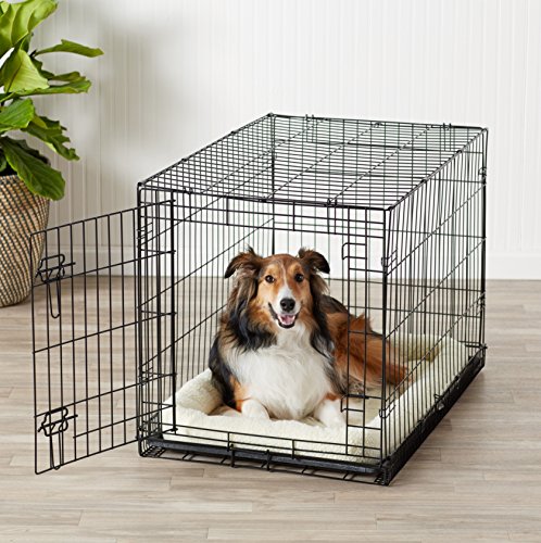 AmazonBasics - Jaula plegable de metal para mascota (una puerta, 91 cm largo)