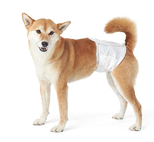 AmazonBasics - Pañal desechable para perro macho, XS, paquete de 30 unidades